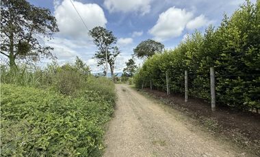 Se Venden Lotes Parcelacion Campestre Alcalá 9277879