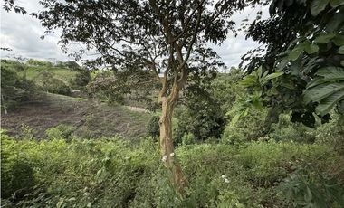 Se Venden Lotes Parcelacion Campestre Alcalá 9277879