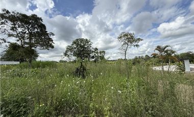 Se Venden Lotes Parcelacion Campestre Alcalá 9277879