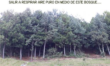 Venta apartamento Antioquia retiro fizebad represa luxury lujo bosque