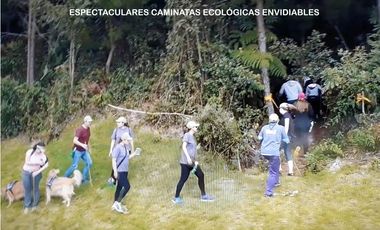 Venta apartamento Antioquia retiro fizebad represa luxury lujo bosque