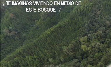 Venta apartamento Antioquia retiro fizebad represa luxury lujo bosque