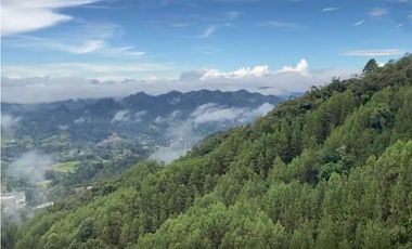 Venta apartamento Antioquia retiro fizebad represa luxury lujo bosque