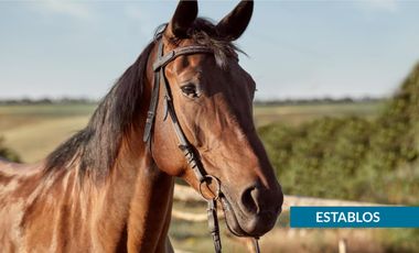 Cabaña de Lujo en Co-propiedad en Tapalpa