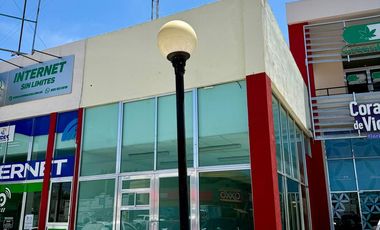 Local en  Plaza Bicentenario