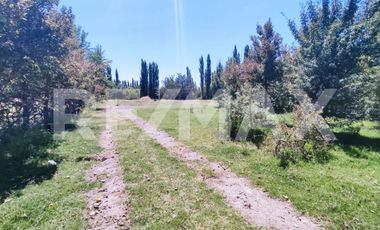 ALQUILER PARCELA DE 7000MTS NEUQUEN