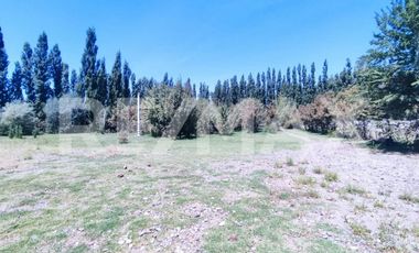 ALQUILER PARCELA DE 7000MTS NEUQUEN