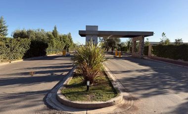 Oportunidad en Barrio Privado Las Tacas 1, Maipú