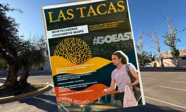 Oportunidad en Barrio Privado Las Tacas 1, Maipú
