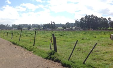 Venta Hacienda de 30 hectáreas en Lasso Vía Principal