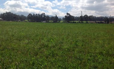 Venta Hacienda de 30 hectáreas en Lasso Vía Principal
