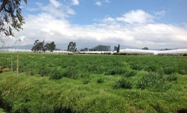 Venta Hacienda de 30 hectáreas en Lasso Vía Principal
