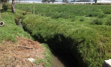 Venta Hacienda de 30 hectáreas en Lasso Vía Principal