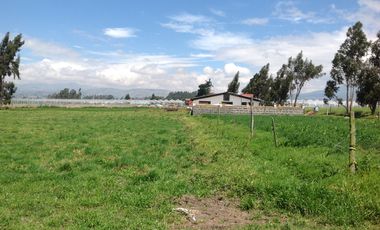 Venta Hacienda de 30 hectáreas en Lasso Vía Principal