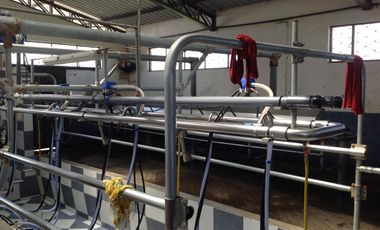 Venta Hacienda de 30 hectáreas en Lasso Vía Principal