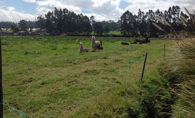 Venta Hacienda de 30 hectáreas en Lasso Vía Principal