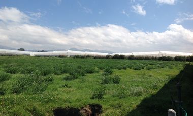 Venta Hacienda de 30 hectáreas en Lasso Vía Principal