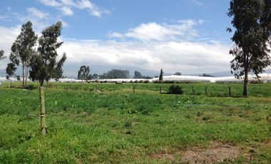 Venta Hacienda de 30 hectáreas en Lasso Vía Principal