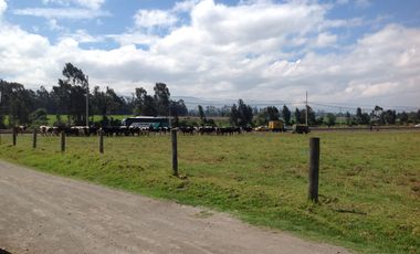 Venta Hacienda de 30 hectáreas en Lasso Vía Principal
