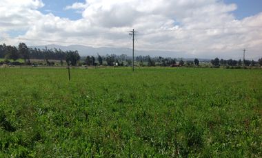 Venta Hacienda de 30 hectáreas en Lasso Vía Principal