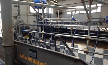 Venta Hacienda de 30 hectáreas en Lasso Vía Principal