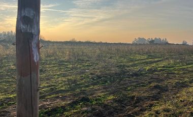 SE VENDE parcela 5.000 m2, predio El Rancho