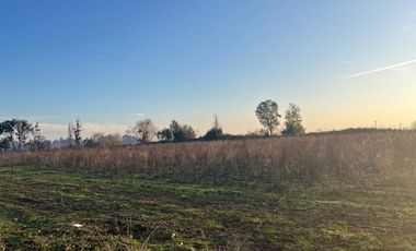 SE VENDE parcela 5.000 m2, predio El Rancho