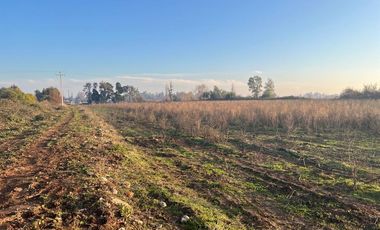 SE VENDE parcela 5.000 m2, predio El Rancho