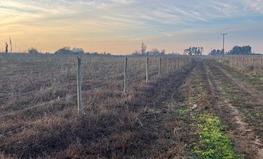 SE VENDE parcela 5.000 m2, predio El Rancho