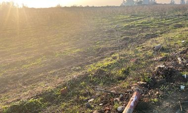 SE VENDE parcela 5.000 m2, predio El Rancho