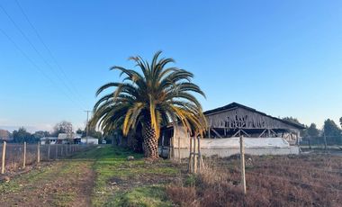 SE VENDE parcela 5.000 m2, predio El Rancho