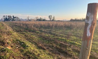 SE VENDE parcela 5.000 m2, predio El Rancho