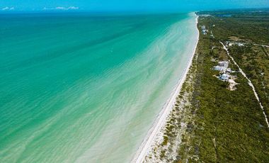 PH con roof garden frente a Playa Sisal Yucatán (MACM)