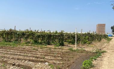 Lotes en venta en Villa Amaranto – San Isidro, Valle Cañete