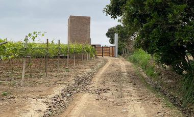 Lotes en venta en Villa Amaranto – San Isidro, Valle Cañete