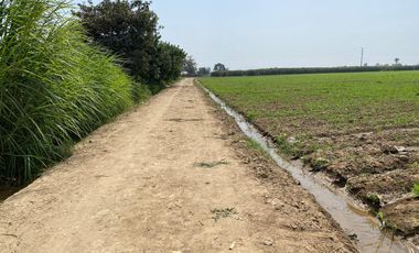 Lotes en venta en Villa Amaranto – San Isidro, Valle Cañete