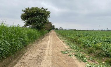 Lotes en venta en Villa Amaranto – San Isidro, Valle Cañete