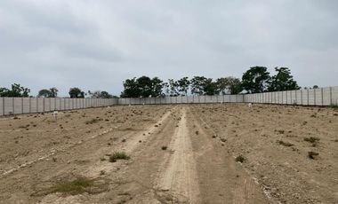 Lotes en venta en Villa Amaranto – San Isidro, Valle Cañete