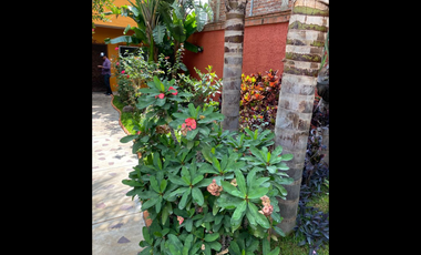 LA MEJOR OPORTUNIDAD PARA TENER TU. CASA DE CAMPO