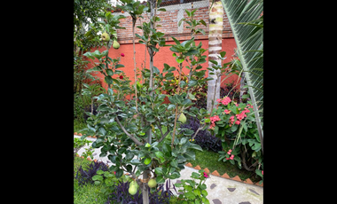 LA MEJOR OPORTUNIDAD PARA TENER TU. CASA DE CAMPO