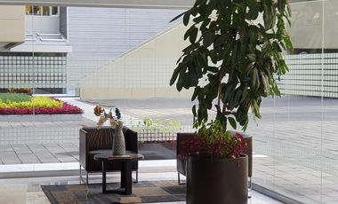 DEPARTAMENTO, Av. Javier Barros Sierra, 