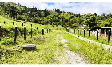 VENDO LOTES PROYECTO CAMPESTRE GUATEQUE - BOYACA