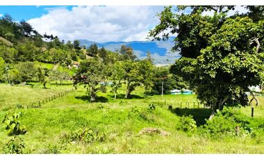 VENDO LOTES PROYECTO CAMPESTRE GUATEQUE - BOYACA