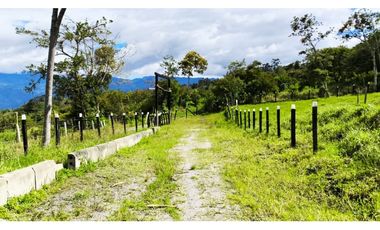 VENDO LOTES PROYECTO CAMPESTRE GUATEQUE - BOYACA