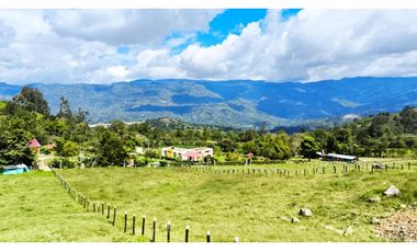 VENDO LOTES PROYECTO CAMPESTRE GUATEQUE - BOYACA