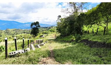 VENDO LOTES PROYECTO CAMPESTRE GUATEQUE - BOYACA