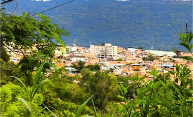 VENDO LOTES PROYECTO CAMPESTRE GUATEQUE - BOYACA