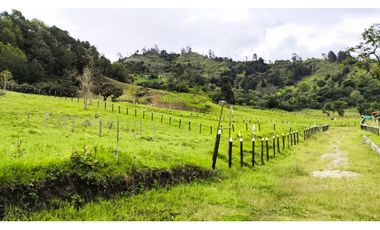 VENDO LOTES PROYECTO CAMPESTRE GUATEQUE - BOYACA
