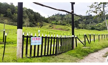 VENDO LOTES PROYECTO CAMPESTRE GUATEQUE - BOYACA