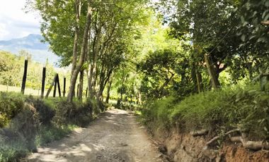 VENDO LOTES PROYECTO CAMPESTRE GUATEQUE - BOYACA